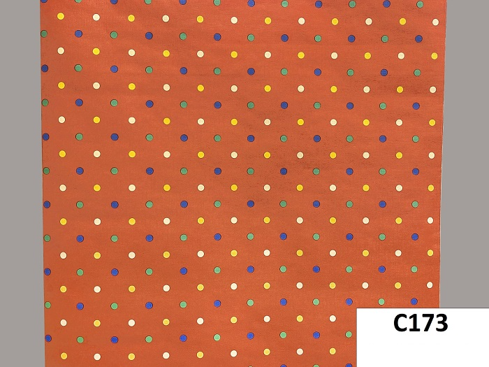 C173