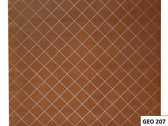 GEO207