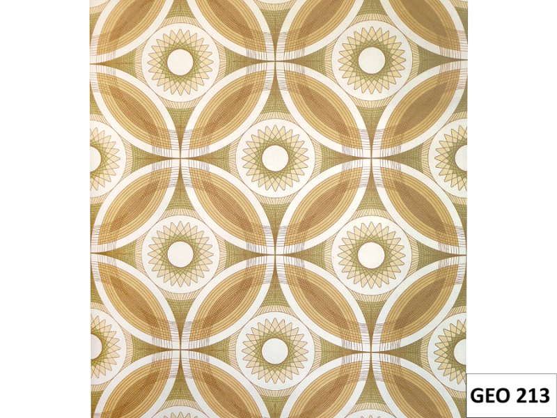 GEO213
