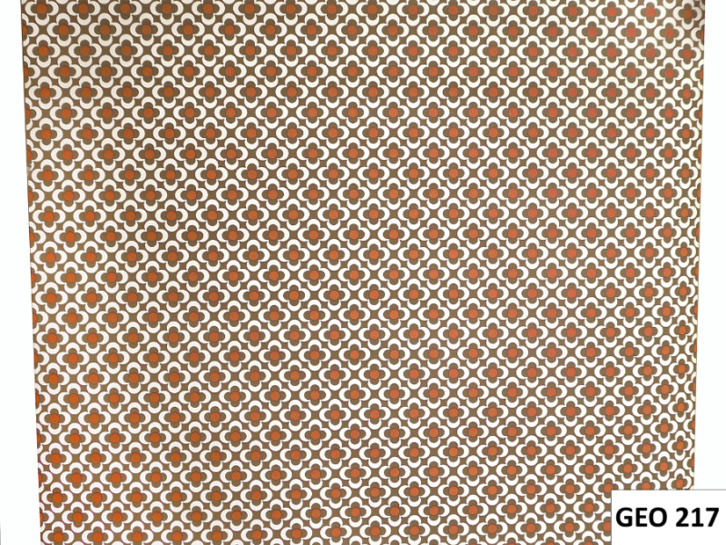 GEO217