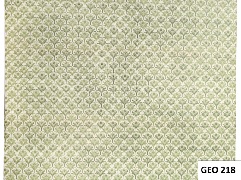 GEO218