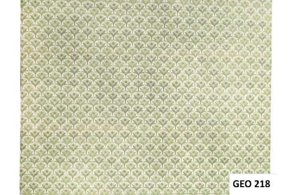 GEO218